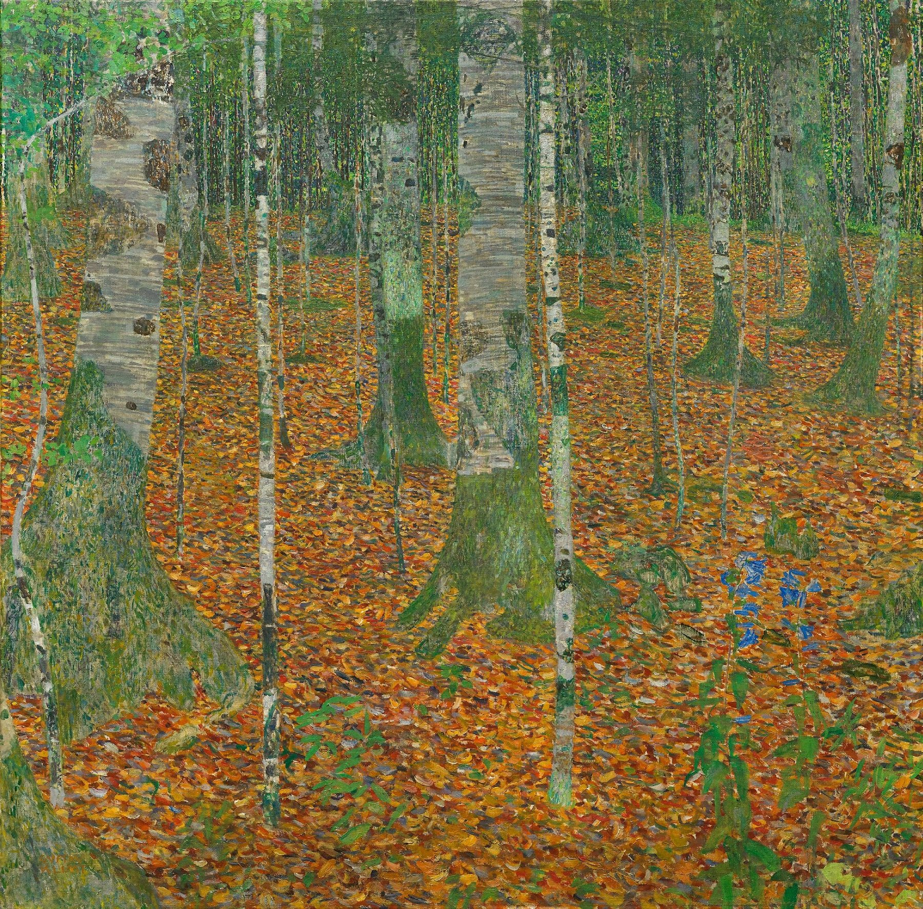 Gustav Klimt, Birch Forest (1903), Paul G. Allen Collection