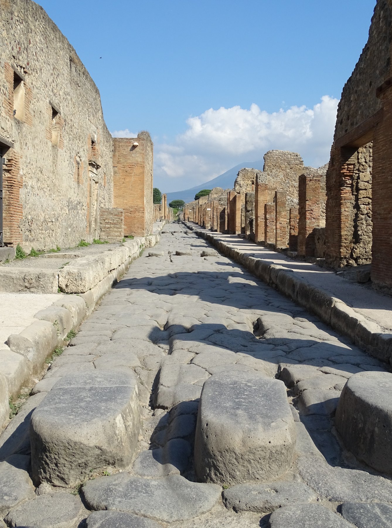 A long view down the Via dell'Abbondanza in Pompeii, a paved Roman street rutted by cart wheels and lined with the open fronts of shops and houses.