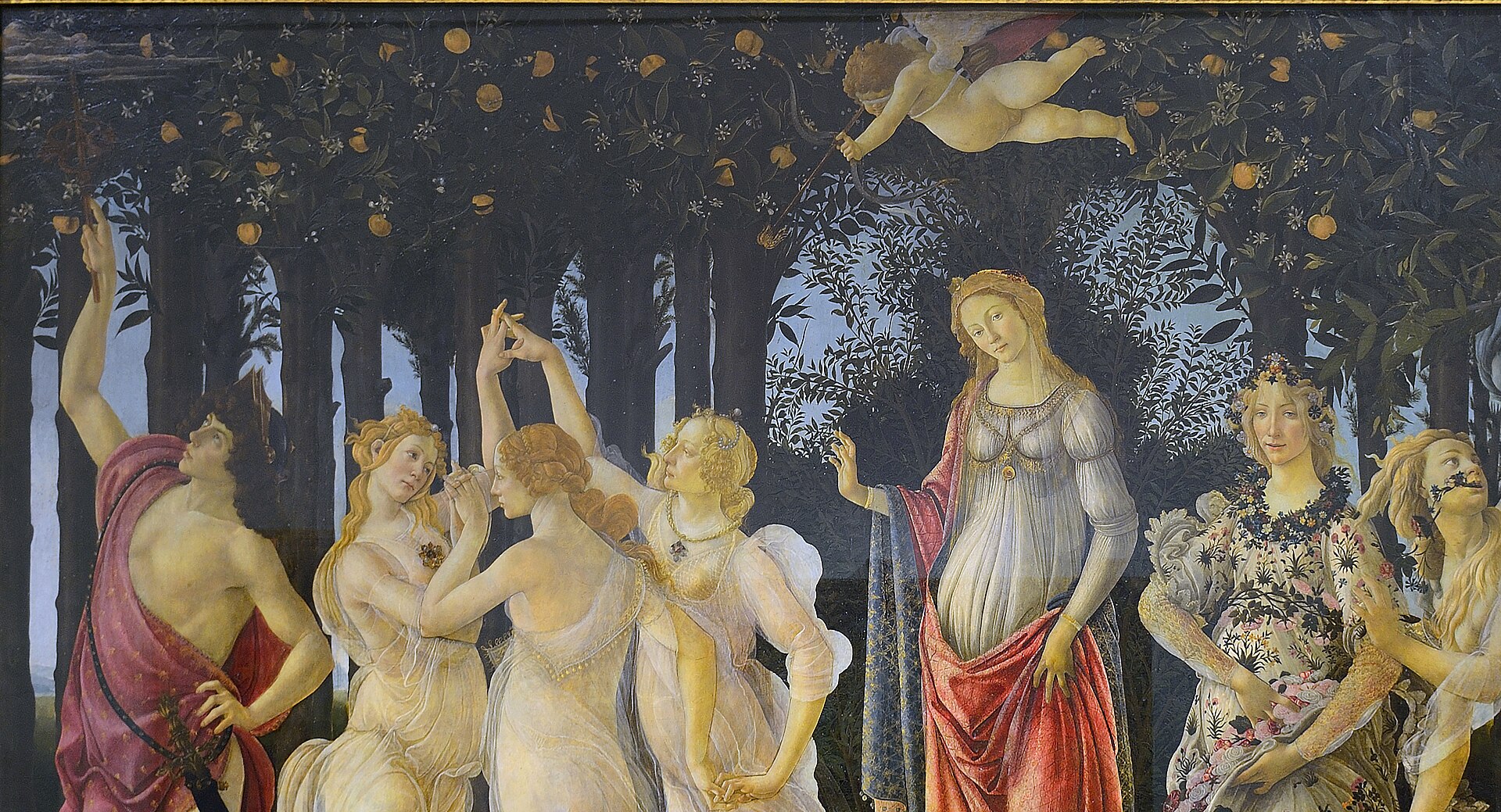 Detail of Cupid above Venus in Primavera: the small winged figure blindfolded, drawing his bow back, with the arrow aimed downward at the central Grace.